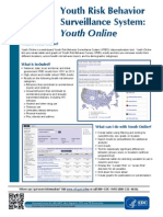 2013 Yrbs Youth Online Flyer