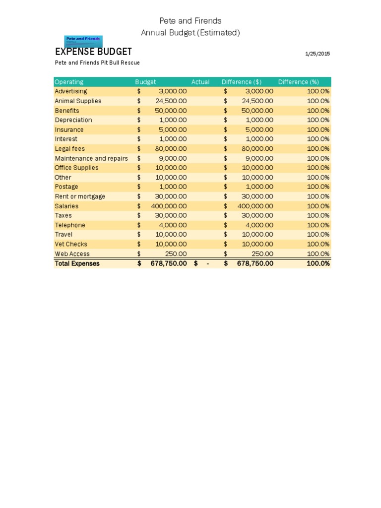 Expense Budget | PDF