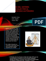 Regulación Del Sistema Cardiovascular Por El