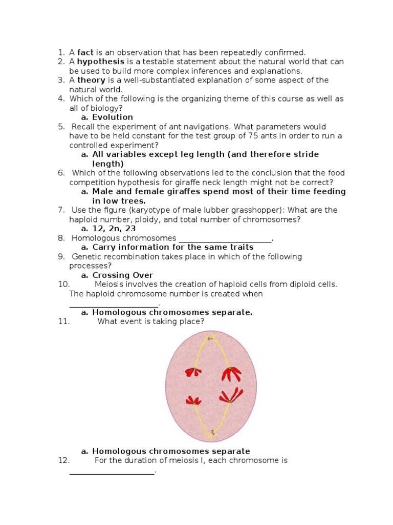 Biology Final Exam Review (1) Dominance Zygosity