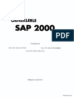 SAP2000 - Güney Özmen