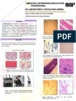 POSTERHISTOLOGIA