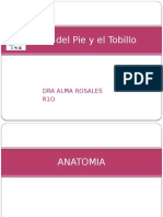 Abordajes Pie y Tobillo 1