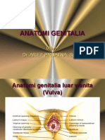 Anatomi Genitalia