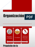 Organizacion y Direccion de JR