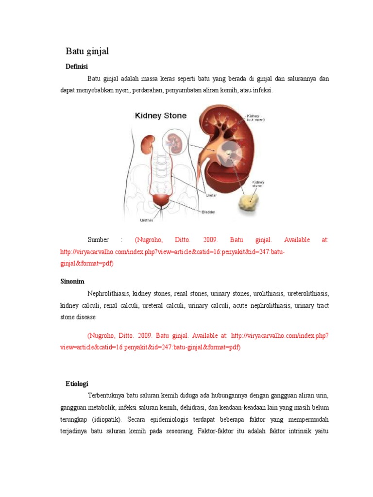 Download 99 Koleksi Gambar Ginjal Pdf Paling Bagus HD