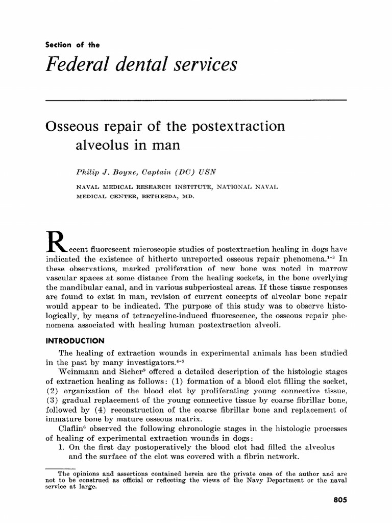 Post-Extraction Healing in Humans | PDF | Bone | Anatomy