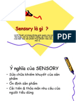 Sensory Là Gì