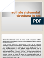 Boli Ale Sistemului Circulator