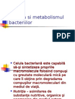 Nutritia Metabolism Bacterian