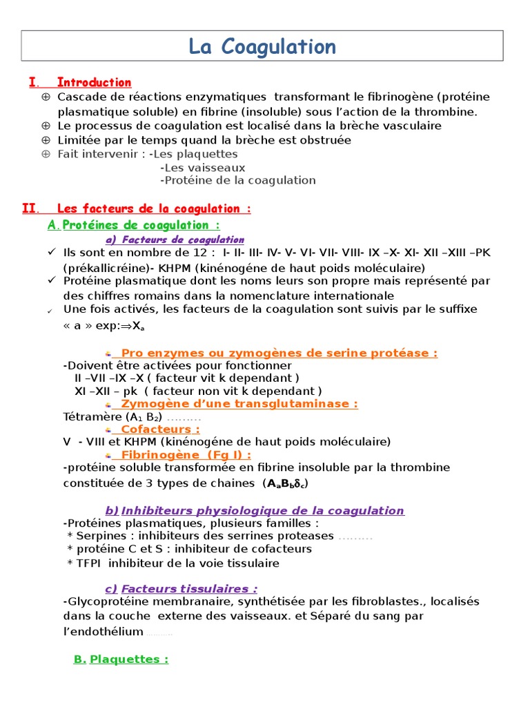 10 Coagulation | PDF | Coagulation | Anatomie