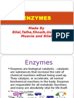 Enzymes: Made by Bilal, Talha, Shoaib, Usman, Muavia and Bilal