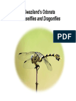 Damselflies and Dragonflies: Swaziland's Odonata