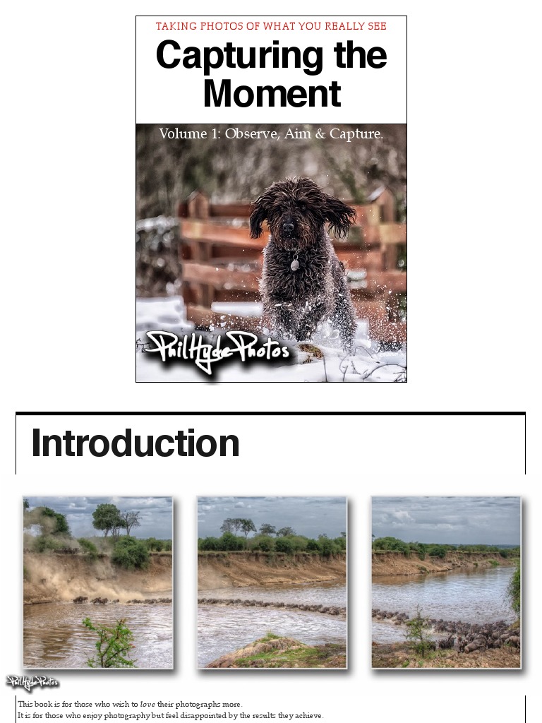 Capturing Moments in Photography | PDF | Photograph | High Dynamic ...