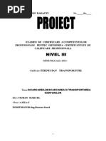 PROIECT Incarcarea, Descarcarea si Transportul Marfurilor.doc