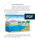 Circuitul Carbonului in Natura