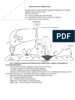 Hemostaza Si Fibrinoliza