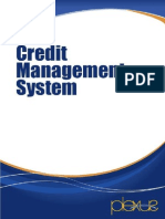 Credit Management System 1