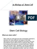 Problems in Biology of Stem Cell