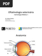 Aula Teórica Oftalmologia Veterinária
