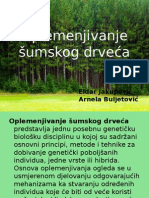 Oplemenjivanje Šumskog Drveća