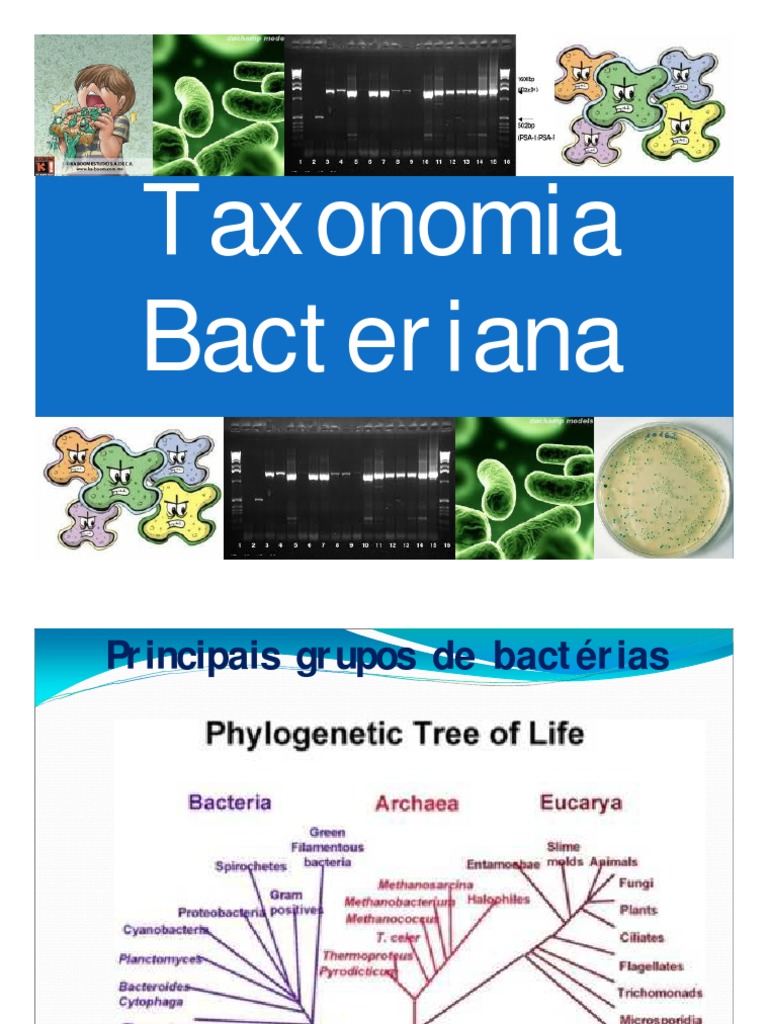 Taxonomia Microbiana Taxonomia (Biologia) Gênero