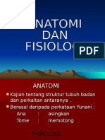 Anatomi Dan Fisiologi