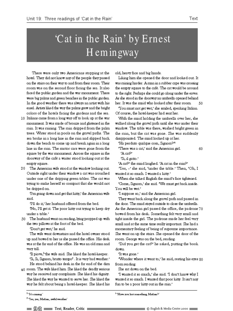 Cat in The Rain PDF