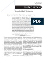 Oxidant Stress and Endothelial Cell Dysfunction