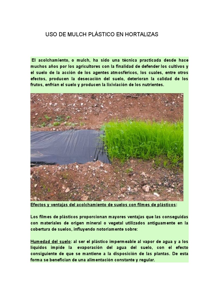 Uso de Mulch Plástico en Hortalizas Plastic Soil