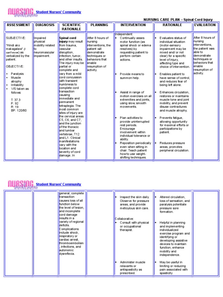 Nursing Care Plan for Spinal Cord Injury | PDF | Spinal Cord Injury ...