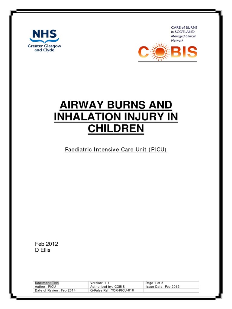 YORPICU010 Airway Burns and Smoke Inhalation Guideline Feb 2012 PDF Burn Respiratory Tract