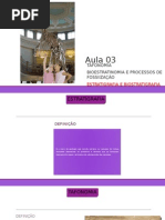 Aula 3 Estratigrafia