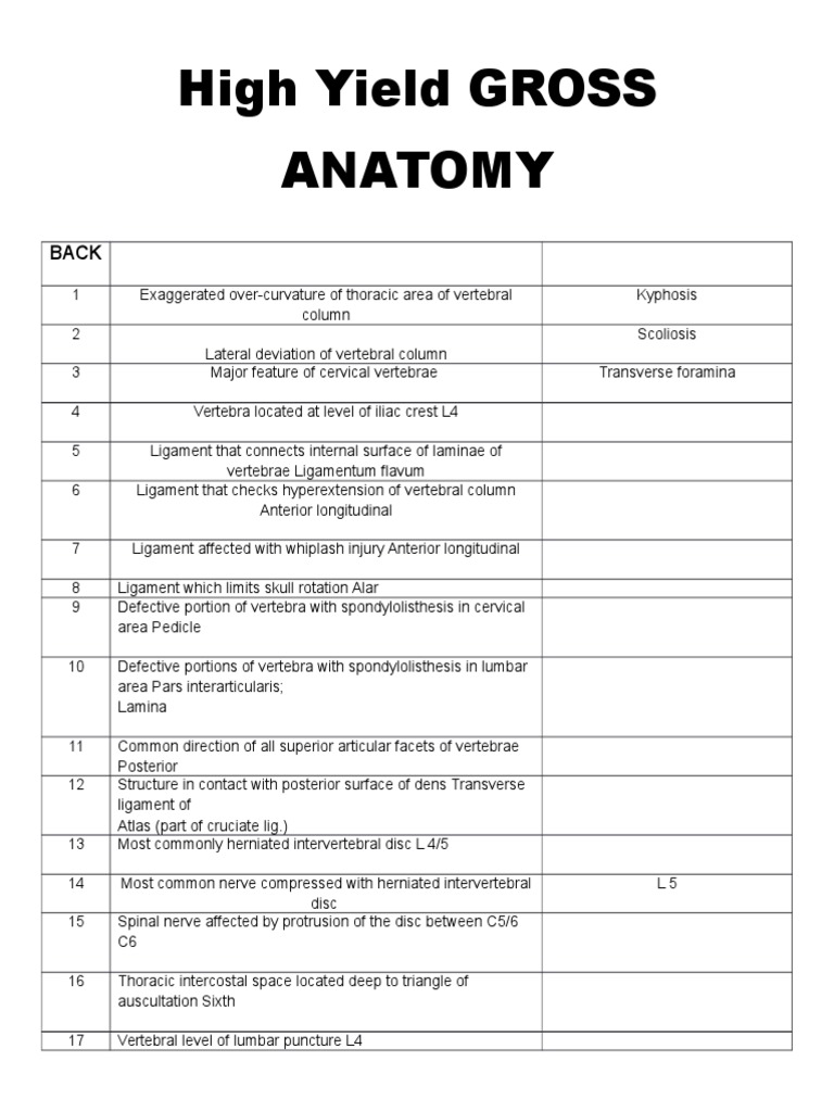 High Yield GROSS Anatomy | PDF | Vertebra | Arm