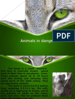 Animals in Danger1