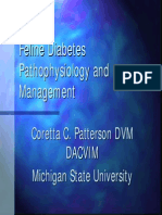 Feline Diabetes Pathophysiology and Management