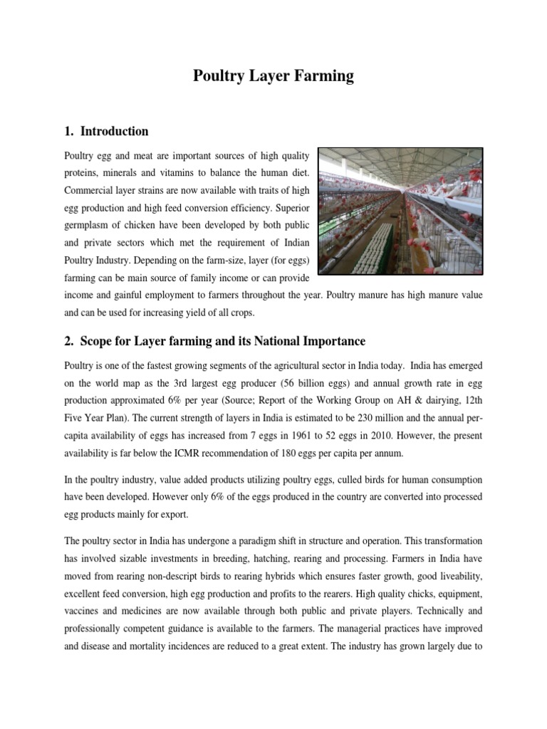 Poultry Layer | PDF