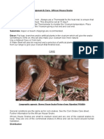 Care Sheet - African House Snake (Lamprophis)