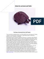 Care Sheet - Asian Leaf Turtle (Cyclemys Dentata)