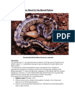 Care Sheet - Blood Python