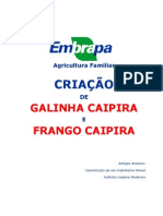 CRIANDO GALINHA.pdf