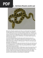 Building Primitive Traps &amp; Snares | PDF | Trapping | Nature