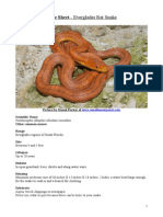 Care Sheet - Everglades Rat Snake