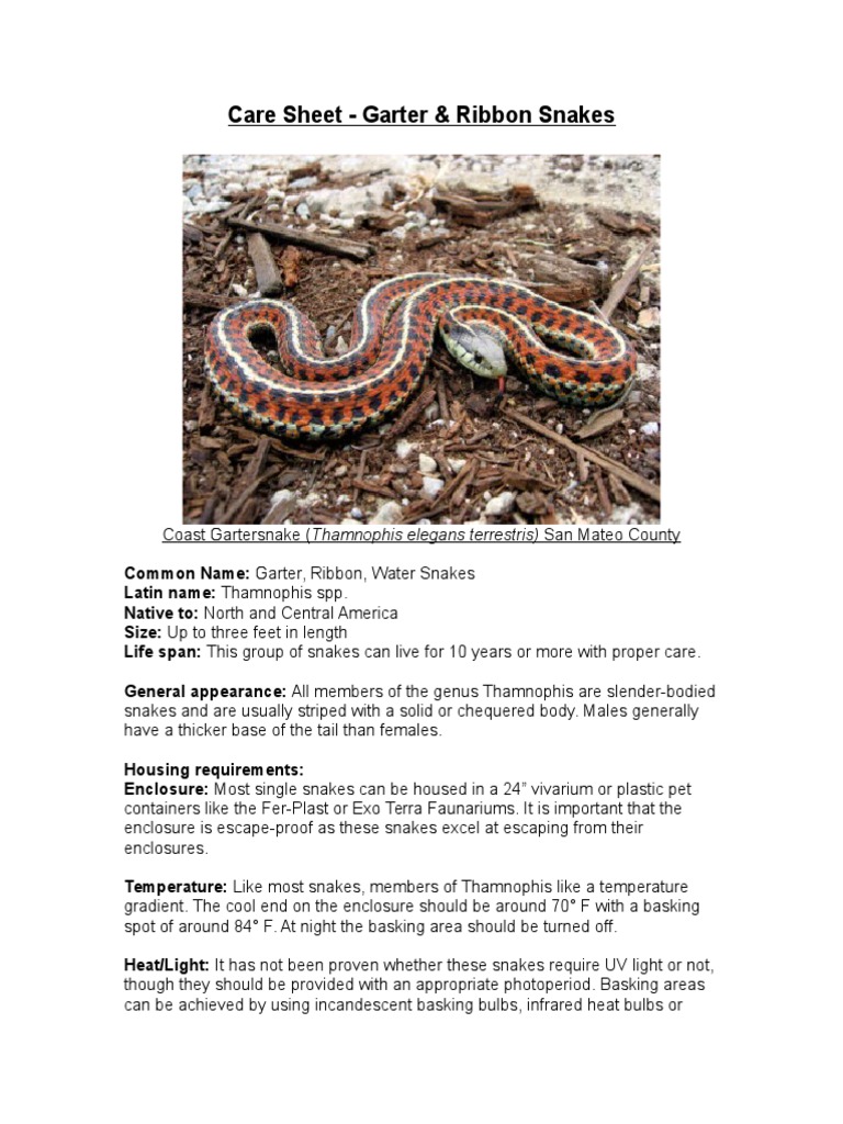 Care Sheet - Garter &amp; Ribbon Snakes | PDF | Vivarium | Nature