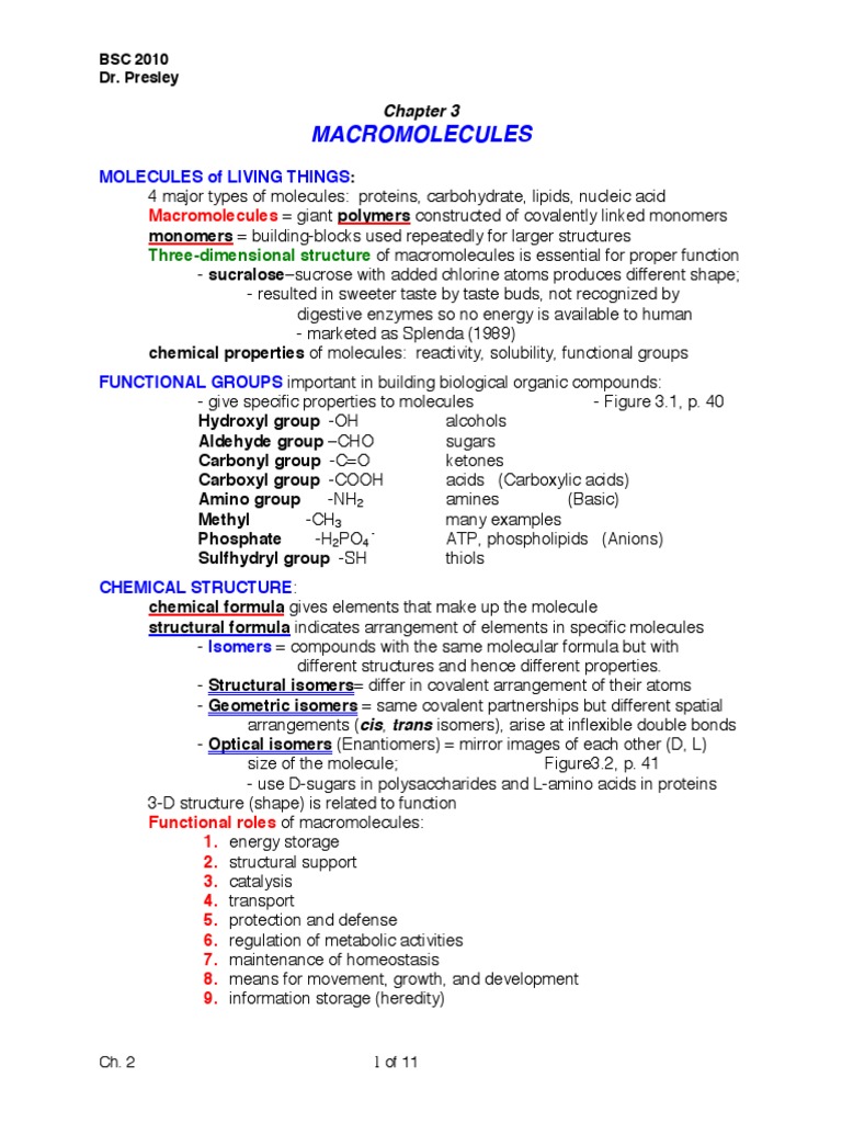 Macro Molecules | PDF