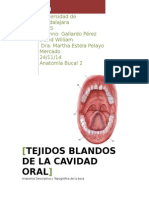 Tejidos Blandos de La Cavidad Oral