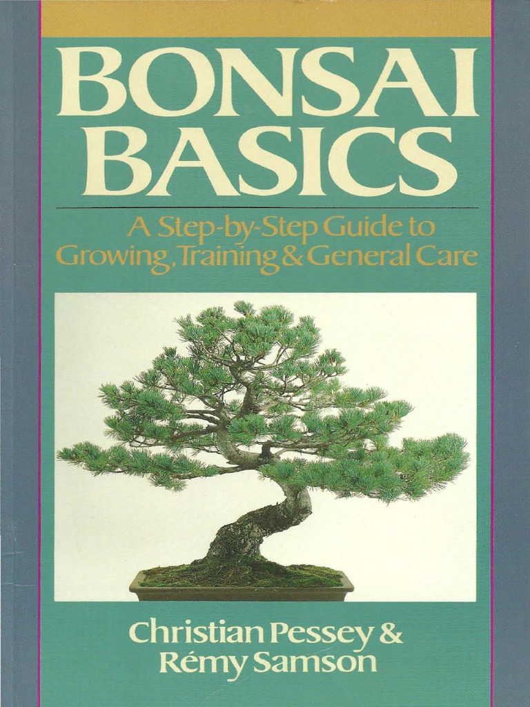 Bonsai Basics Trees Bonsai