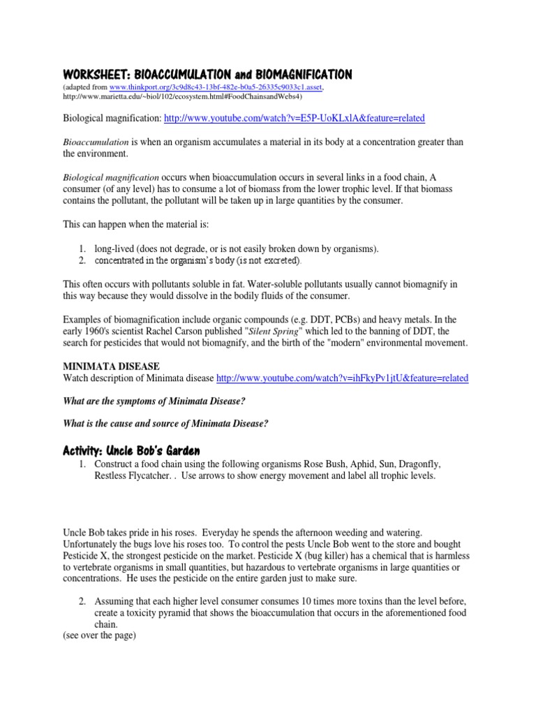 Bioaccumulation Biomagnification Worksheet Human Impact On The Environment Environmental Science