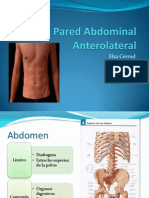 Pared Abdominal Anterolateral