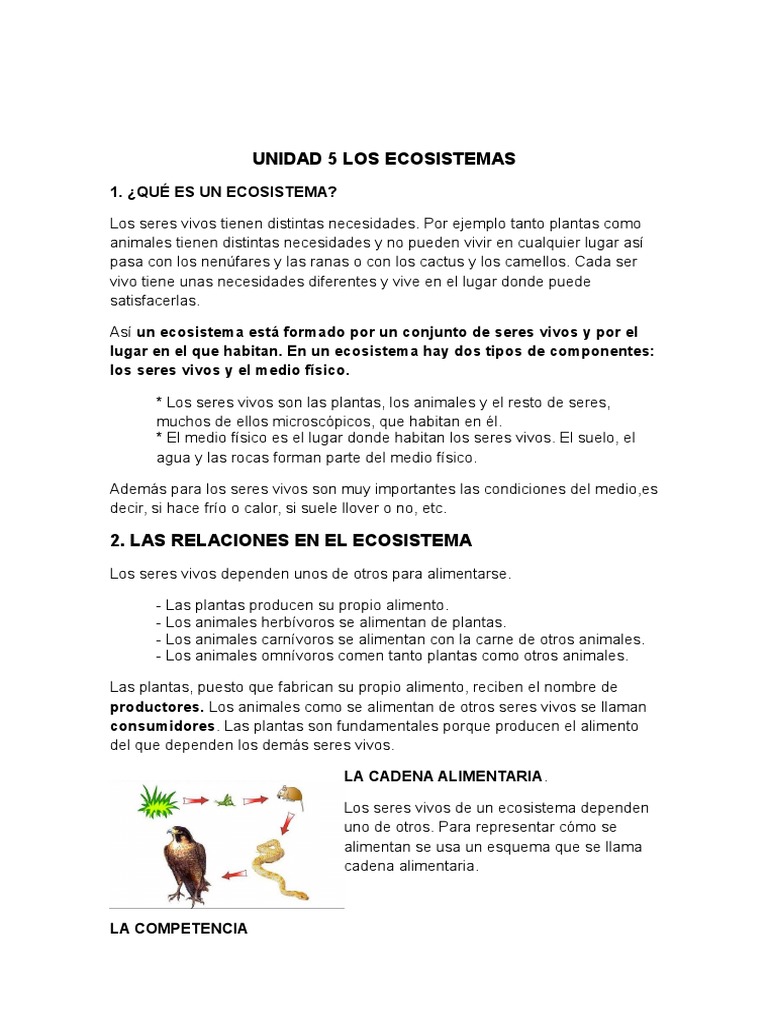 Tema 5. Los Ecosistemas. | PDF | Ecosistema | Suelo
